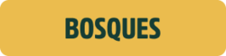 "bosques"
